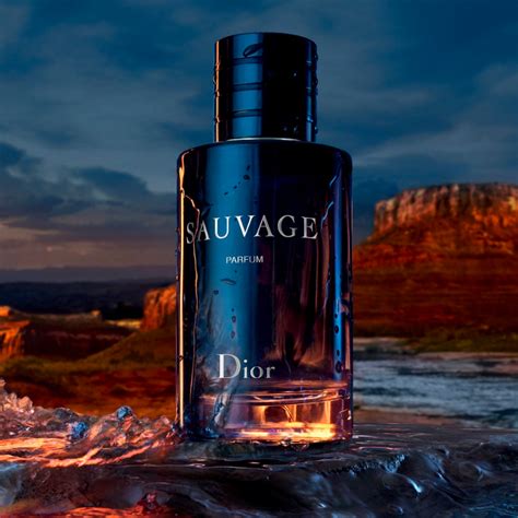 the dior sauvage|dior sauvage the perfume shop.